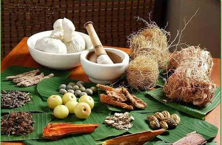 Ayurveda treatment methods