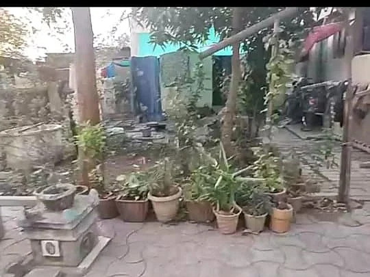 एक विद्यार्थी तीस झाडे
