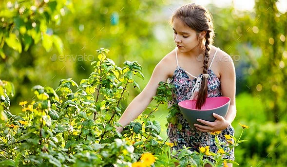 चला, फुलवू आपली बाग, पावसाला होतेय सुरुवात