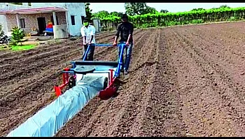 Mulching paper