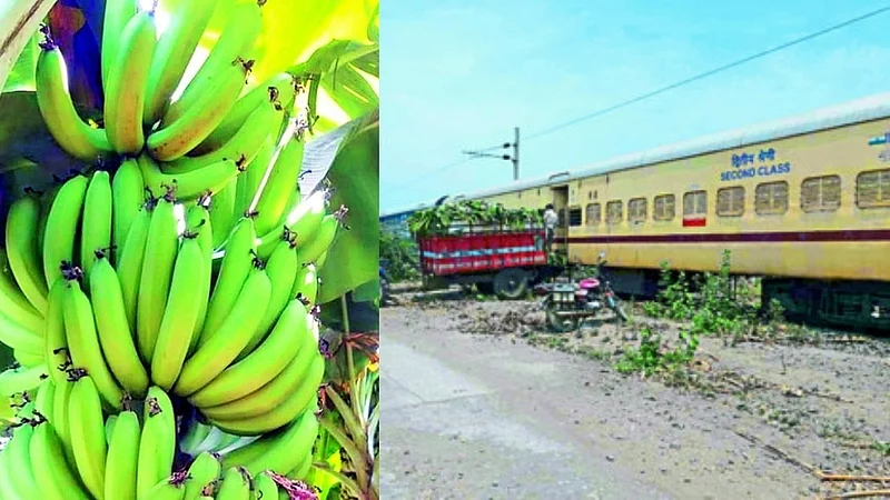 banana wagons