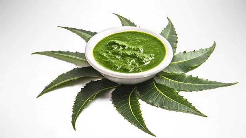 neem leaves