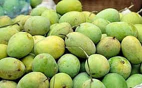 keshar mango