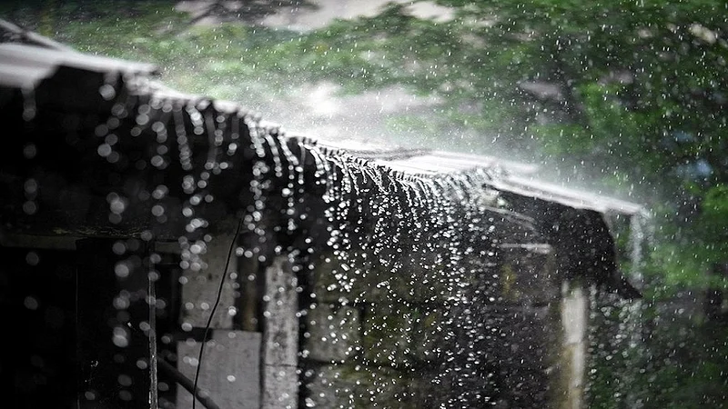 rain