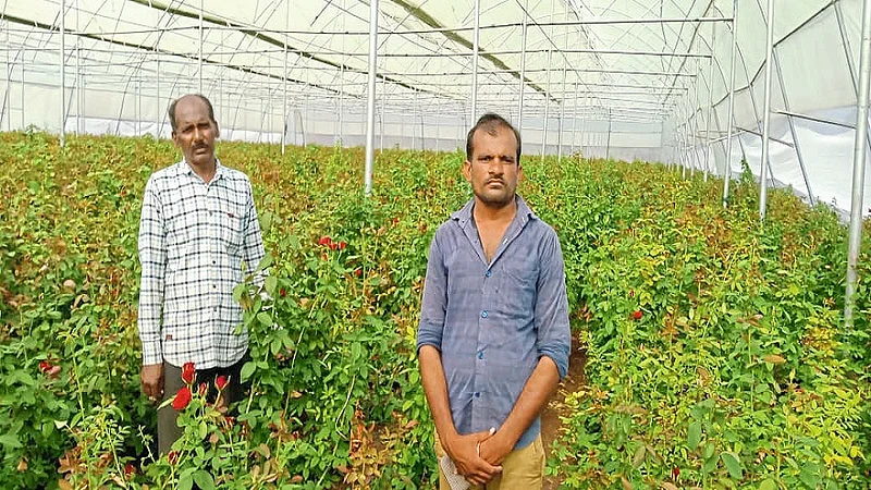 साईनाथ चौधरी, सूरज राऊत या तरुण उच्चशिक्षित शेतकऱ्यांनी शेतीपासून दूर जाणाऱ्यांपुढे आदर्श निर्माण केला आहे.