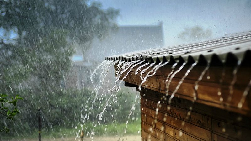 Rain