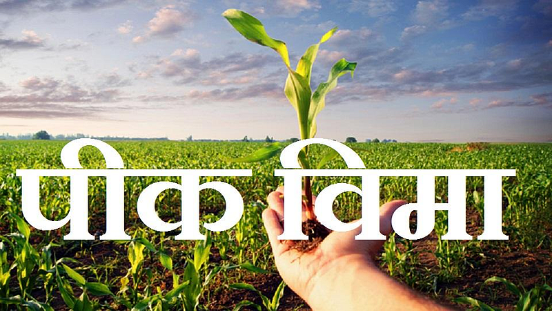 farmer crop loan