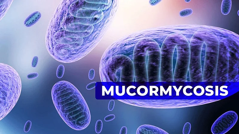 mucormycosis