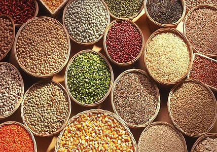 grain