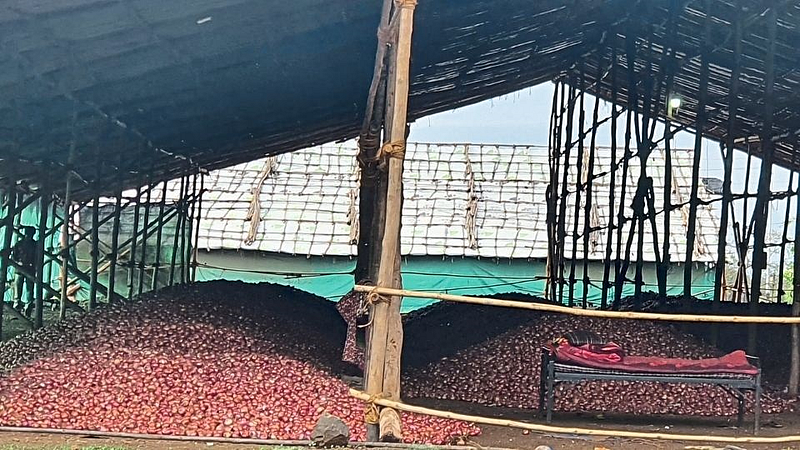 Onion
