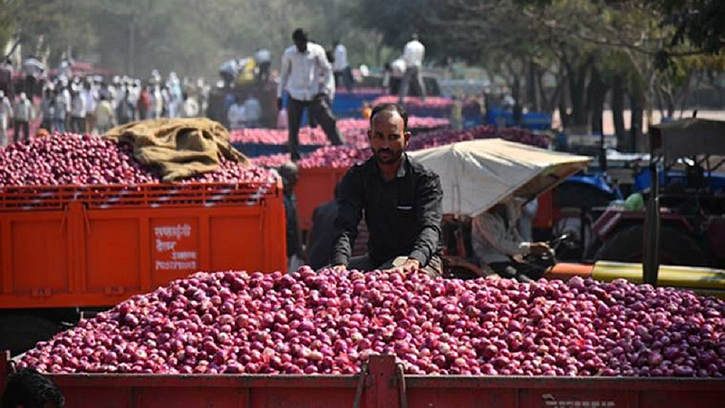 Onion