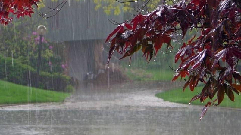Monsoon
