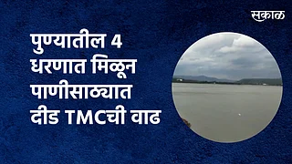 चार ही धरणात मिळून दीड टीएमसीने अधिक वाढ झाली आहे. }