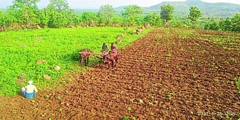 खोटे कागदपत्रे तयार करुन जमिन हडपली!