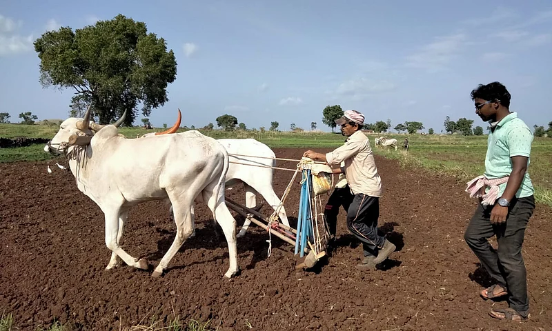 अकोला जिल्ह्यात १.३४ टक्केच झाली पेरणी