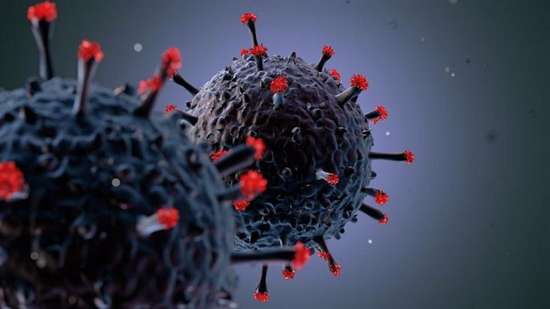 Corona Virus