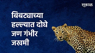 बिबट्याच्या हल्ल्यात दोघे जण गंभीर जखमी}