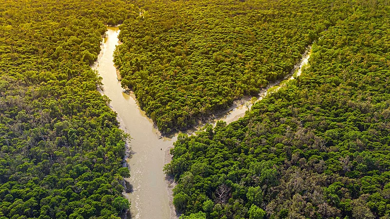 Sundarban
