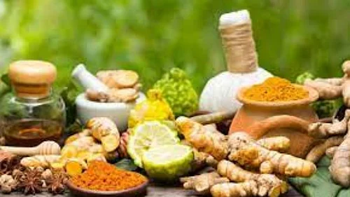 Ayurveda Chikitsa