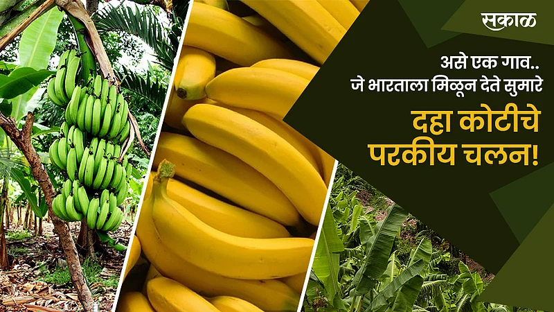 Jalgaon Banana Village}