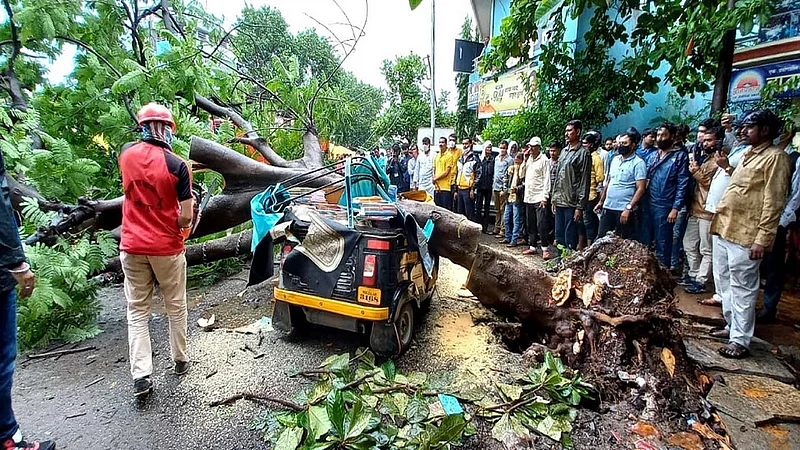 लातूर : प्रकाशनगर भागात ज्ञानप्रकाश विद्यालयाच्यासमोर रिक्षावर पडलेले झाड अग्निशमन दलाच्या जवानांनी कटरच्या साहाय्याने तोडून दूर केले. (छायाचित्र : विजय कवाळे, लातूर)