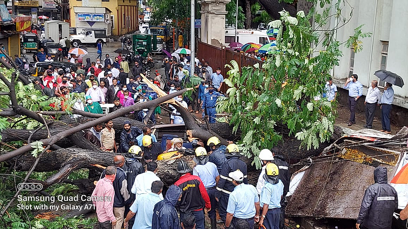 पुण्यात झाड कोसळून रिक्षाचालक गंभीर जखमी