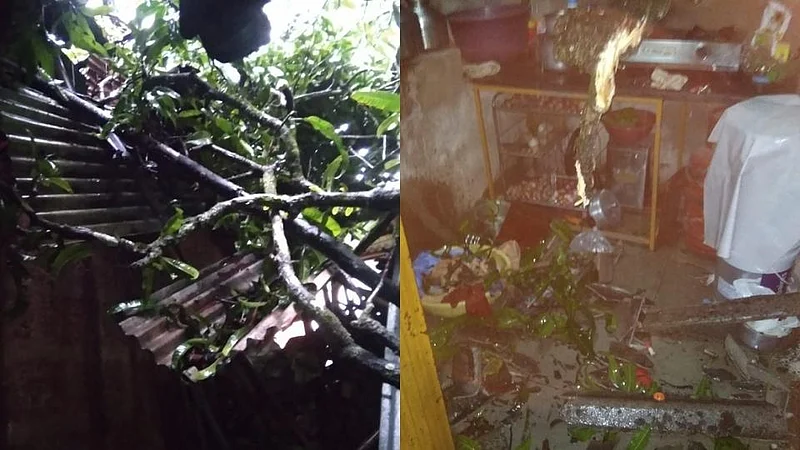 शीळमध्ये घरावर आंब्याचे झाड कोसळले; मध्यरात्री झोपेतच घडला प्रकार