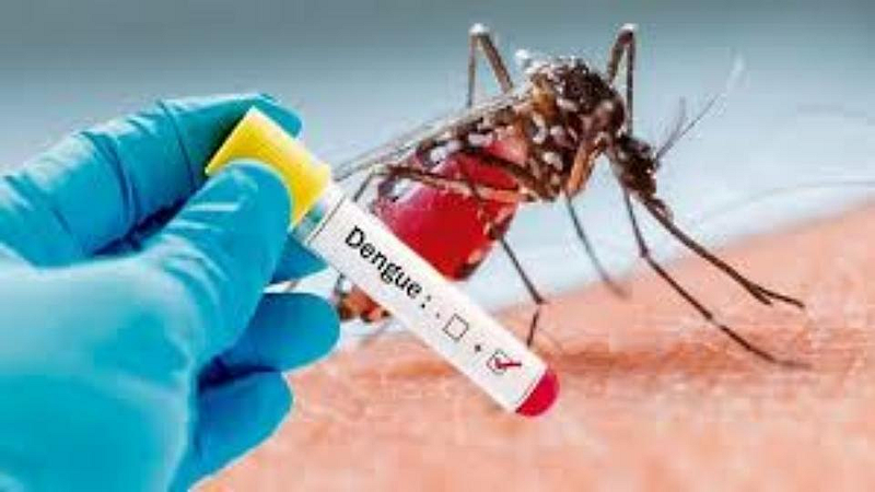 dengue testing kit