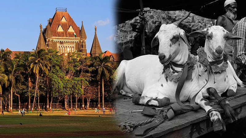 Mumbai-High-Court-Bakri-Eid
