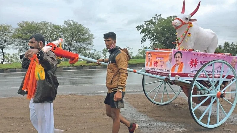 Vijay Jadhav