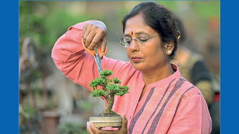 Bonsai with Prajakta Kale