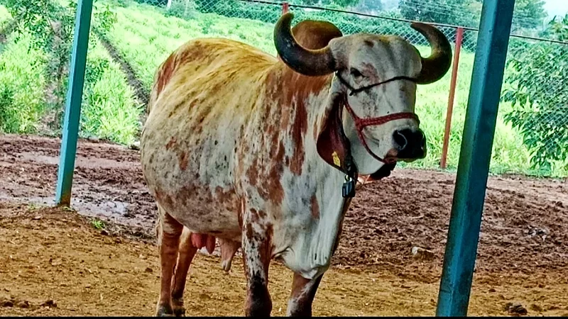 aurangabad