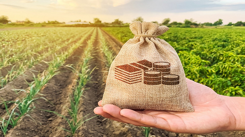 Crop Loan