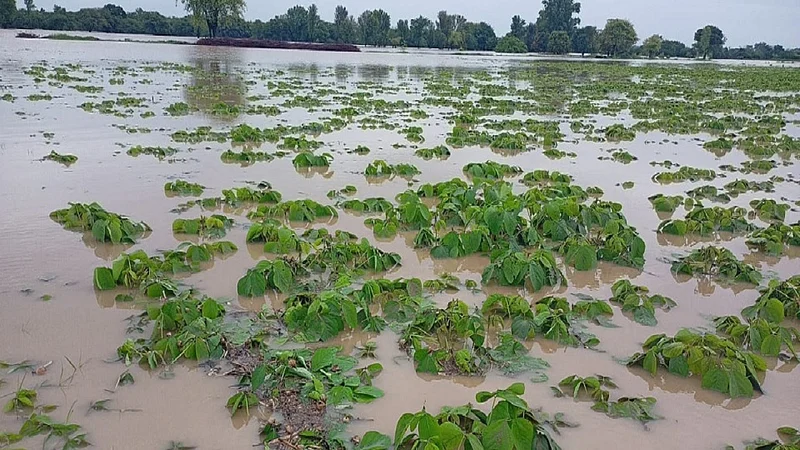 परभणीतील पालम तालुक्यात मुसळधार पावसामुळे सर्व नद्यांना पूर आला आहे.