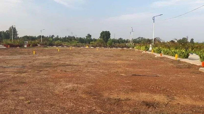 Plot