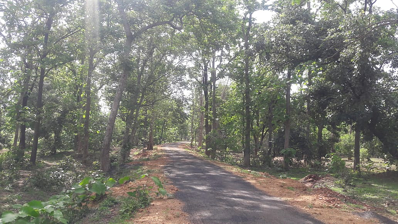 ३० गावांतील नागरिकांची जान हथेलीपर! मानव-वन्यजीव संघर्ष तीव्र