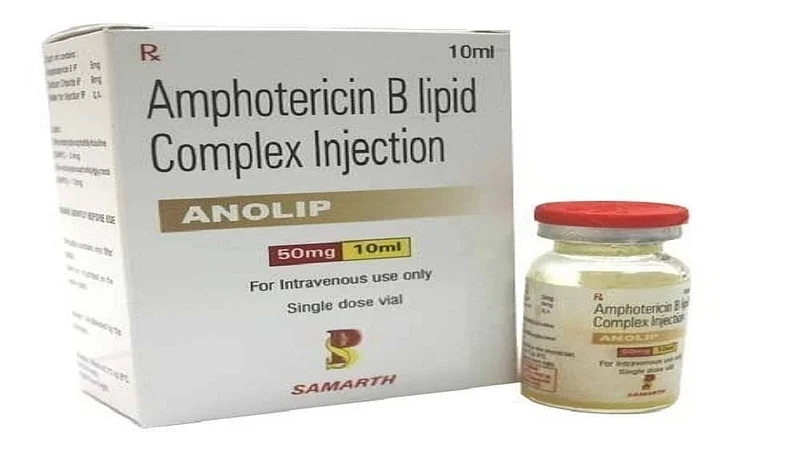 amphotericin