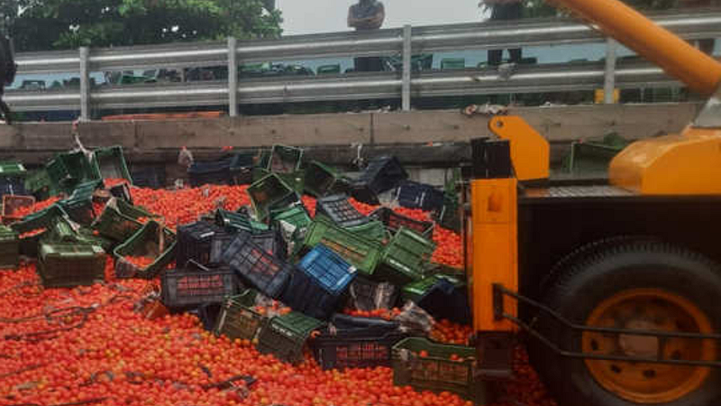 Tomato Truck Accident