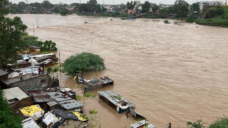 विदर्भात दमदार पाऊस : अकोल्यात अतिवृष्टी, अमरावतीत संततधार