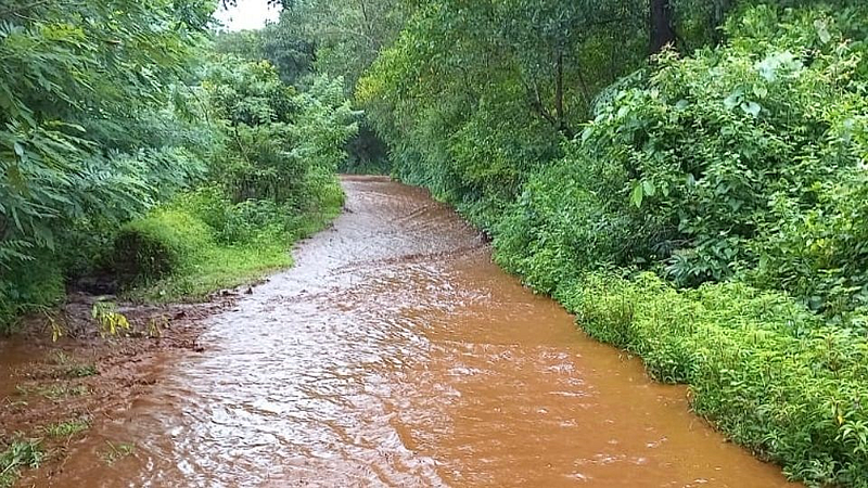 कळणे खनिज प्रकल्पाचा फुटला बांध ; शेतीचे लाखोंचे नुकसान