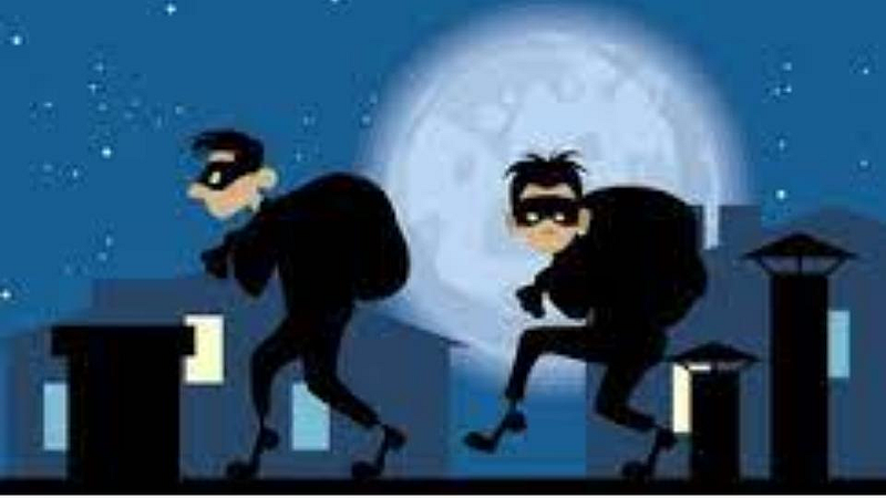 नागपूर शहरात चोरट्यांचा उच्छाद.