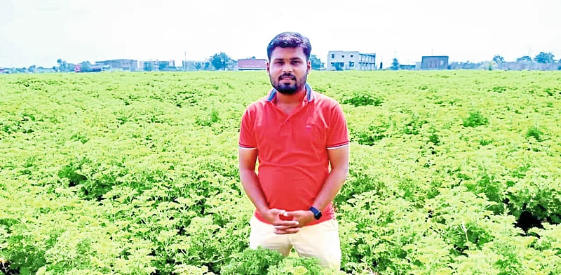 इंदापुरच्या उच्चशिक्षित अंगदची जिरेनियमची सुगंधी शेती; दुष्काळात वरदान