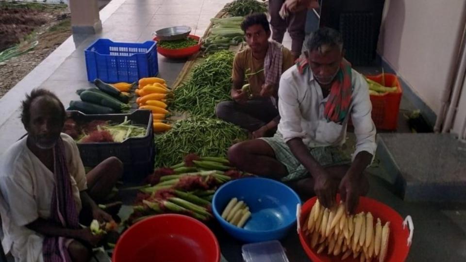 Agriculture