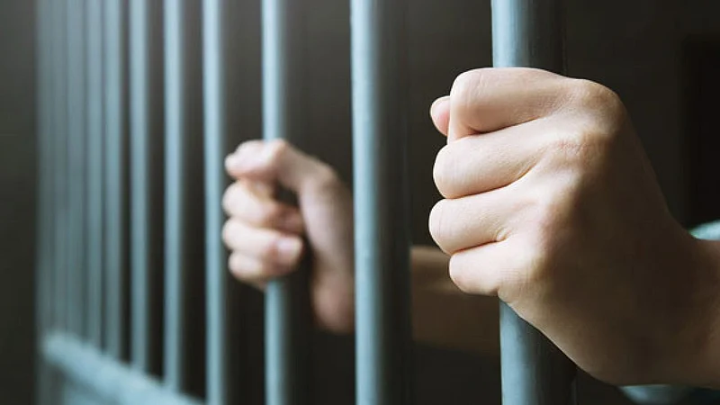 पोलिसांची लावला छडा; सोनेरी केस, कानातील बाळीने अडकले चोरटे