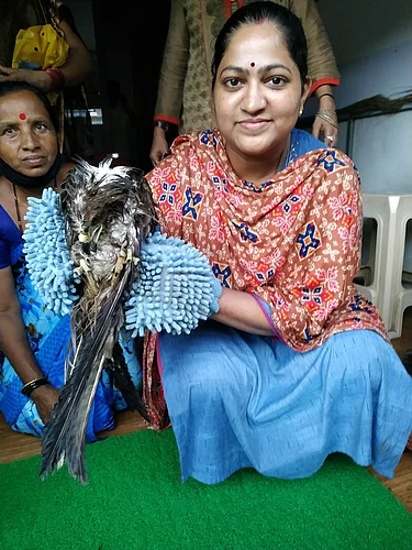 Bird life safe
