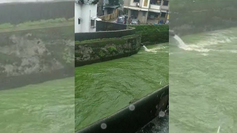 डोंबिवलीतील नाला झाला चक्क हिरवा