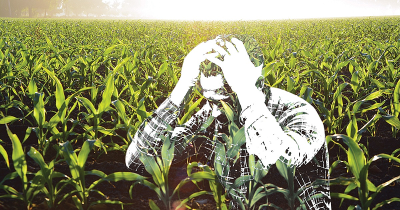 Farmer