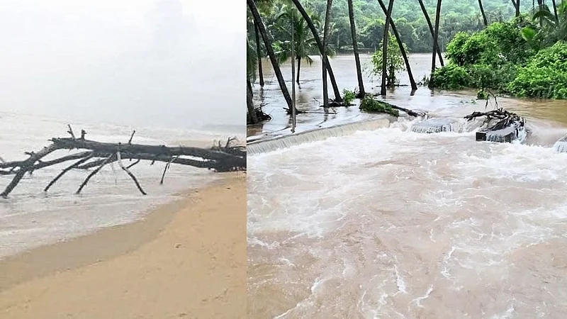 समुद्राला उधाण; शिरोडा बिचवरील झाडे, विद्युत खांब कोसळले
