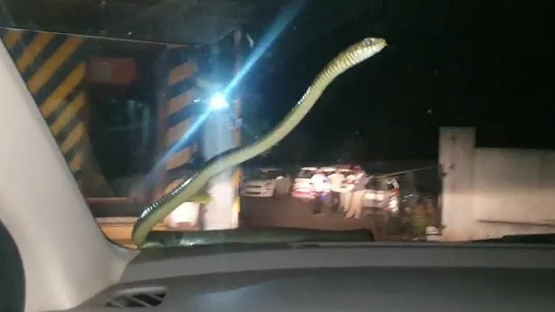 sneak on car