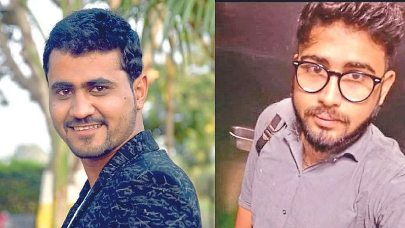 पेट्रोल-डिझेलला पर्याय : गवतापासून जैविक इंधन प्रकल्पाची मुहूर्तमेढ